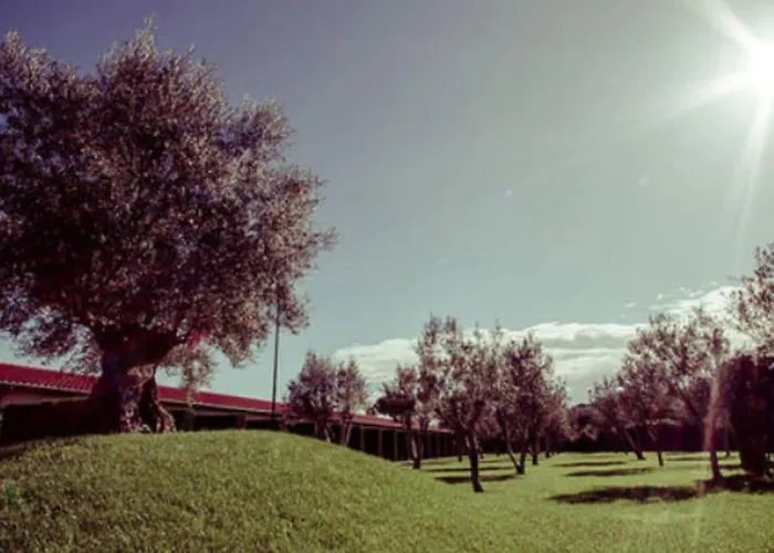 Ways Garden & Leisure Hotel Roma